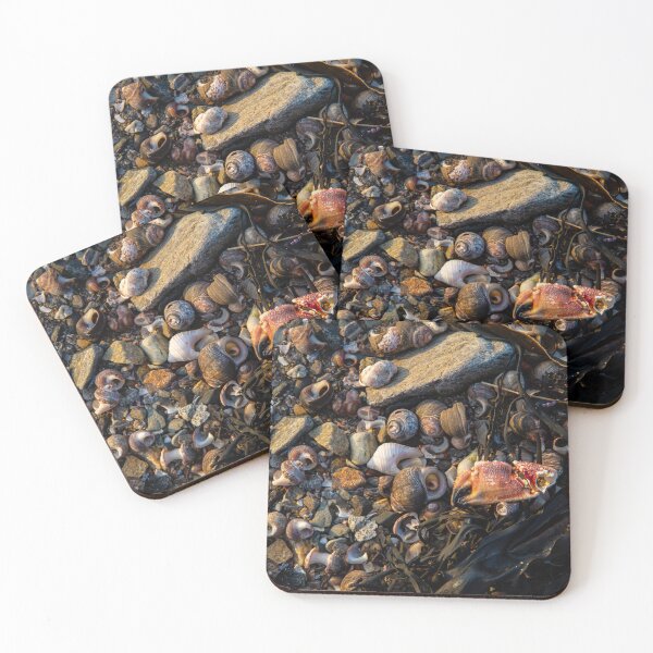 Item preview, By the Ocean designed and sold by Daniel's Destinations.