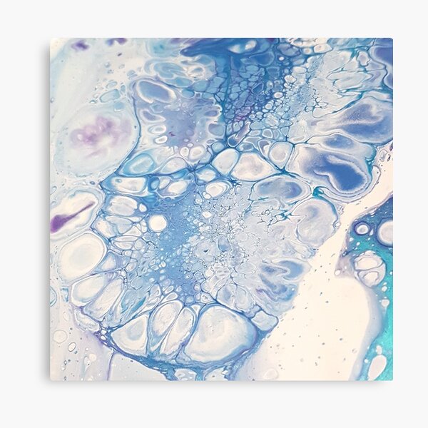 POLARIS Canvas Print