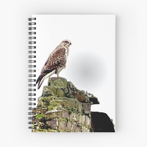 Artikelvorschau, MEIN EAGLE-TURM entworfen und verkauft von NICK COBURN PHILLIPS.