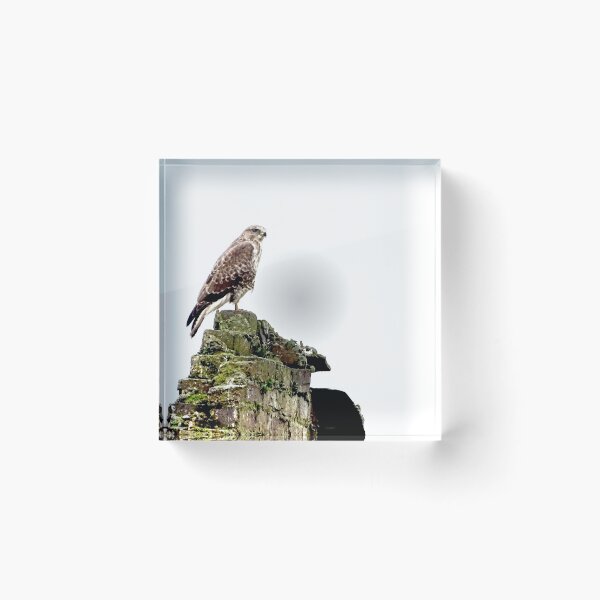 Item preview, MY EAGLE TOWER designed and sold by NICK COBURN PHILLIPS.