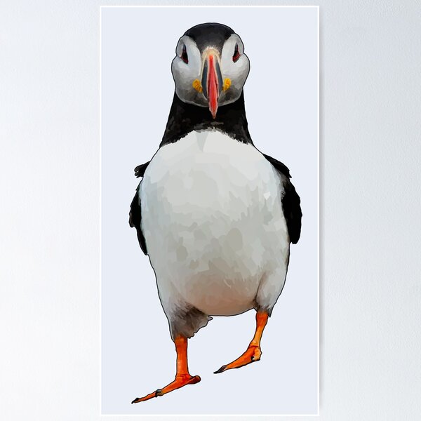Item preview, Cute Atlantic Puffin designed and sold by katiebca2.