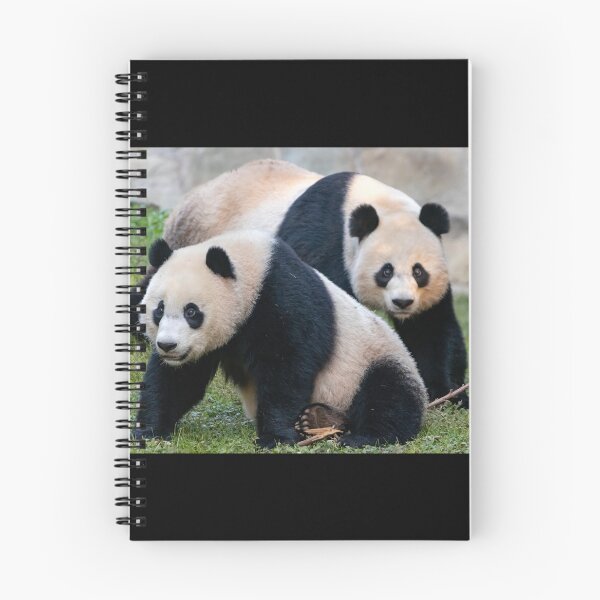 Item preview, Giant Pandas Xiao Qi Ji and Mei Xiang at the Smithsonian's National Zoo designed and sold by Zoo and Nature Photography by Karie.