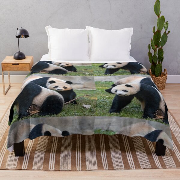Item preview, Giant Pandas Xiao Qi Ji and Mei Xiang at the Smithsonian's National Zoo designed and sold by Zoo and Nature Photography by Karie.