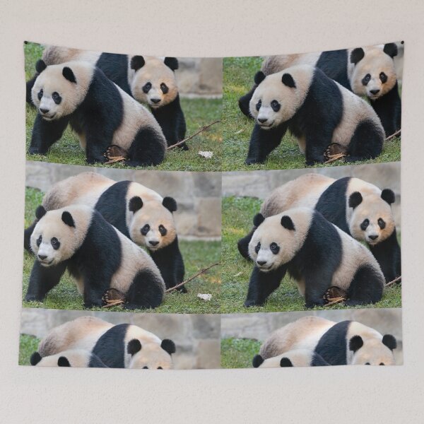 Item preview, Giant Pandas Xiao Qi Ji and Mei Xiang at the Smithsonian's National Zoo designed and sold by Zoo and Nature Photography by Karie.