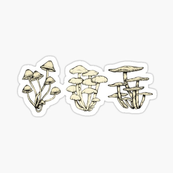 Assorted Fungi || Scientific Mycology Print Sticker