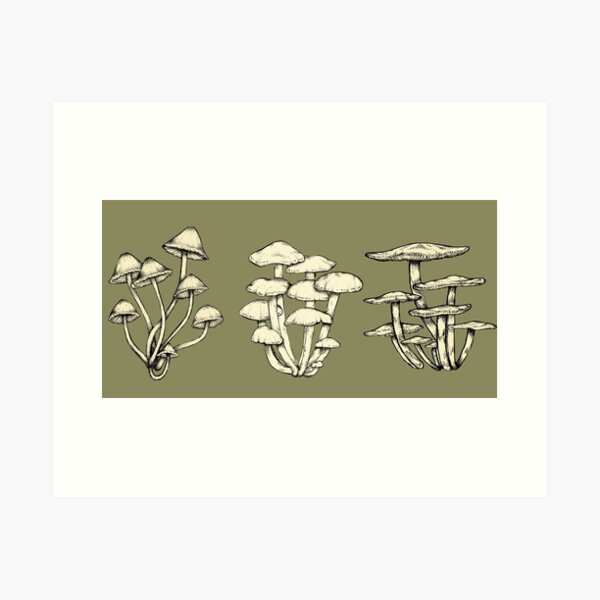 Assorted Fungi || Scientific Mycology Print Art Print