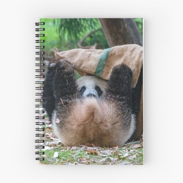 Item preview, Peek-a-boo with Giant Panda Xiao Qi Ji at the National Zoo designed and sold by Zoo and Nature Photography by Karie.