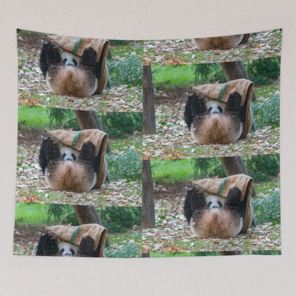Item preview, Peek-a-boo with Giant Panda Xiao Qi Ji at the National Zoo designed and sold by Zoo and Nature Photography by Karie.