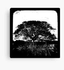 Another World TtV Canvas Print