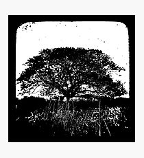 Another World TtV Photographic Print