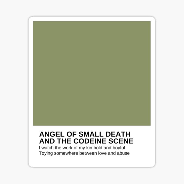 "Songtext Hozier Angel of Small Death (englische sprache)" Sticker von