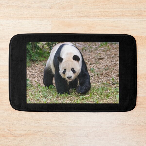 Item preview, Giant Panda Tian Tian at the National Zoo designed and sold by Zoo and Nature Photography by Karie.