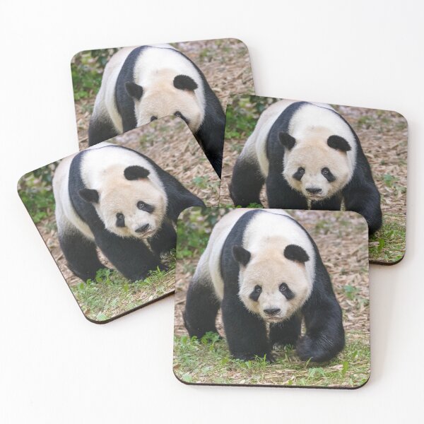 Item preview, Giant Panda Tian Tian at the National Zoo designed and sold by Zoo and Nature Photography by Karie.