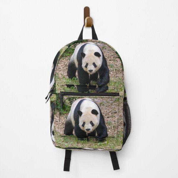 Item preview, Giant Panda Tian Tian at the National Zoo designed and sold by Zoo and Nature Photography by Karie.