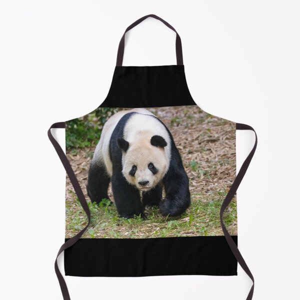 Item preview, Giant Panda Tian Tian at the National Zoo designed and sold by Zoo and Nature Photography by Karie.