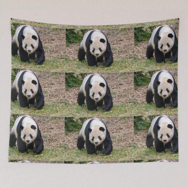 Item preview, Giant Panda Tian Tian at the National Zoo designed and sold by Zoo and Nature Photography by Karie.
