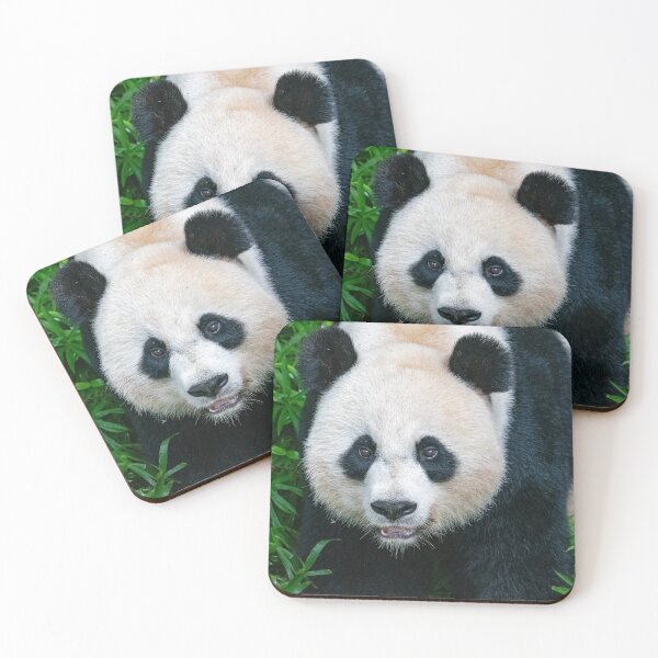 Item preview, Giant Panda Mei Xiang at the Smithsonian's National Zoo designed and sold by Zoo and Nature Photography by Karie.