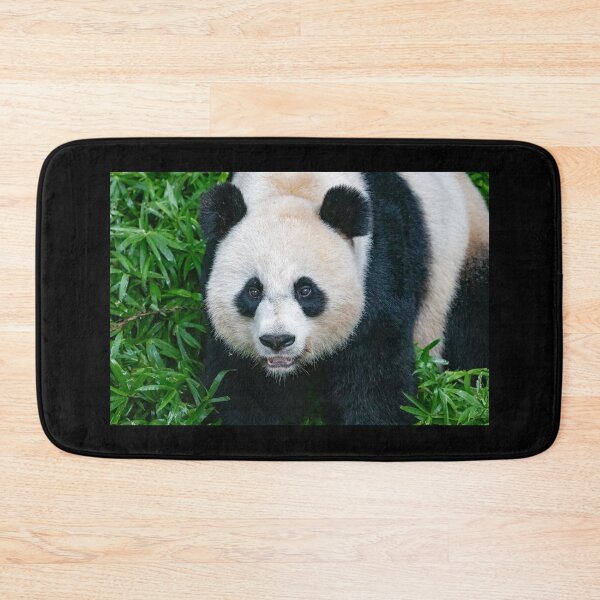 Item preview, Giant Panda Mei Xiang at the Smithsonian's National Zoo designed and sold by Zoo and Nature Photography by Karie.