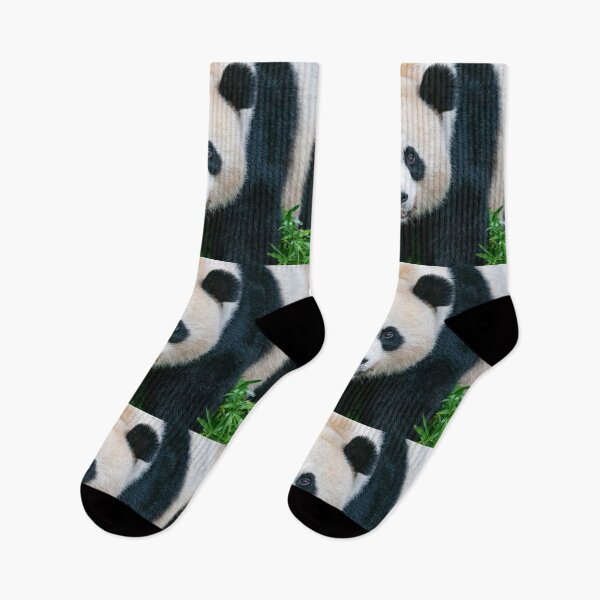 Item preview, Giant Panda Mei Xiang at the Smithsonian's National Zoo designed and sold by Zoo and Nature Photography by Karie.