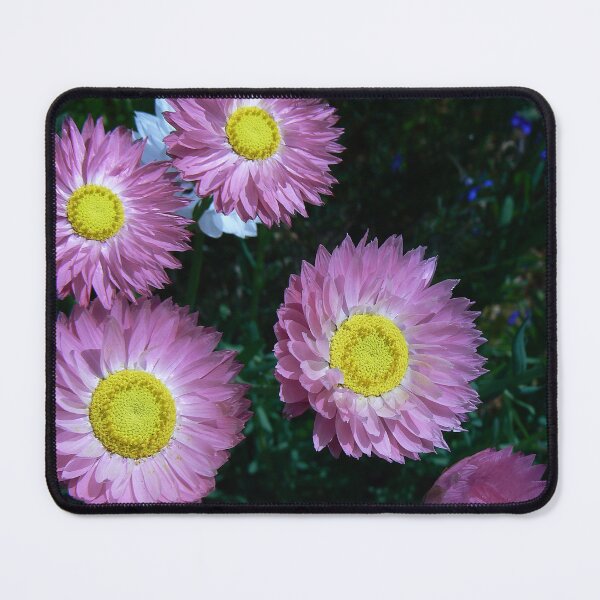 Item preview, Aglow designed and sold by Jane M Lucas.