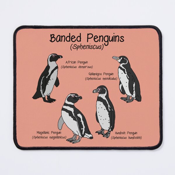 Item preview, Banded Penguins (Pink) designed and sold by GraceT26.