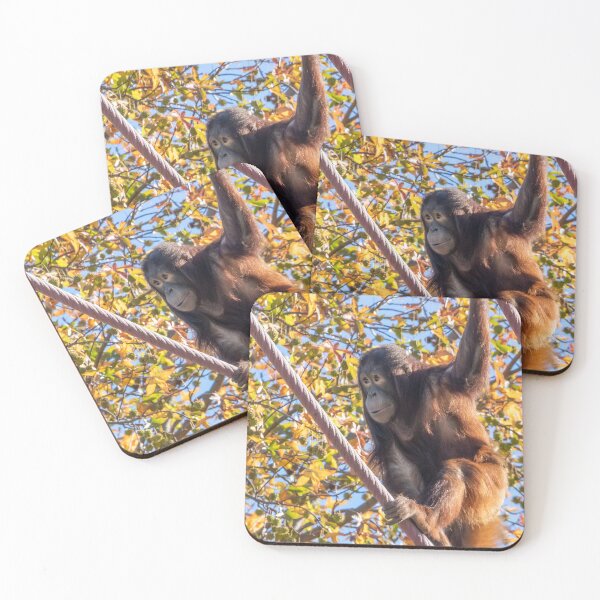 Item preview, Orangutan Redd at the Smithsonian's National Zoo designed and sold by Zoo and Nature Photography by Karie.