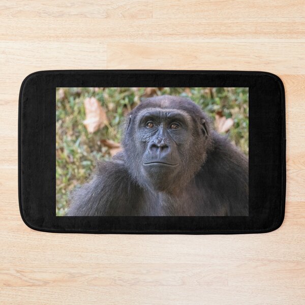 Item preview, Moke the Gorilla at the Smithsonian's National Zoo designed and sold by Zoo and Nature Photography by Karie.