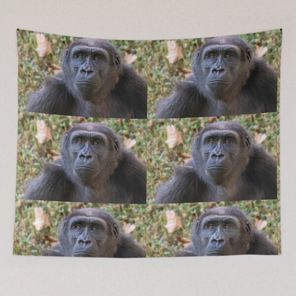 Item preview, Moke the Gorilla at the Smithsonian's National Zoo designed and sold by Zoo and Nature Photography by Karie.