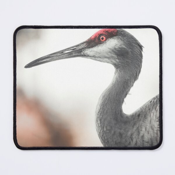 Item preview, Bird in Paradise designed and sold by Jack DeMaio.
