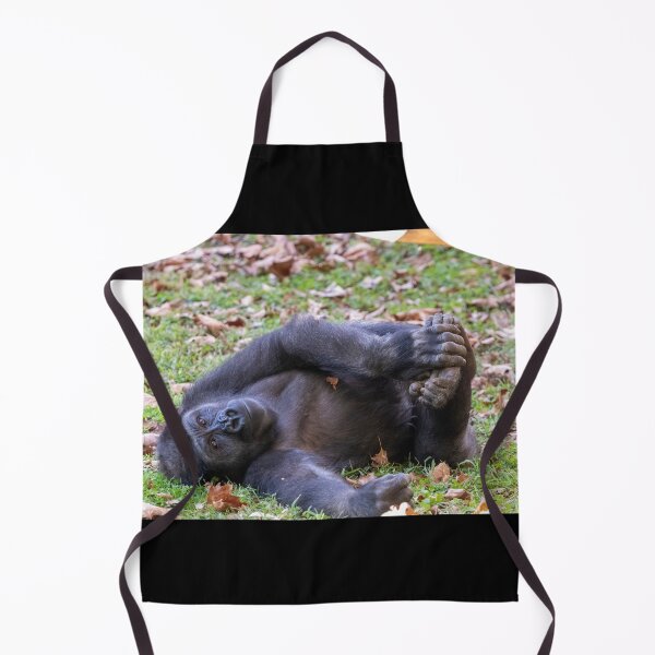 Item preview, Gorilla Moke at the Smithsonian's National Zoo designed and sold by Zoo and Nature Photography by Karie.
