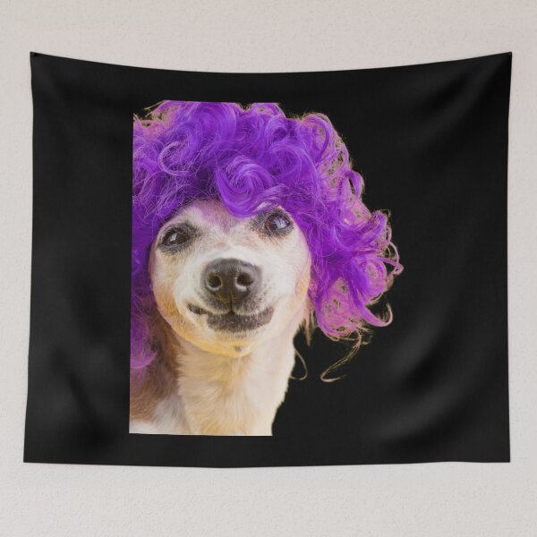 Item preview, dog with wig   designed and sold by HabitationBohe.
