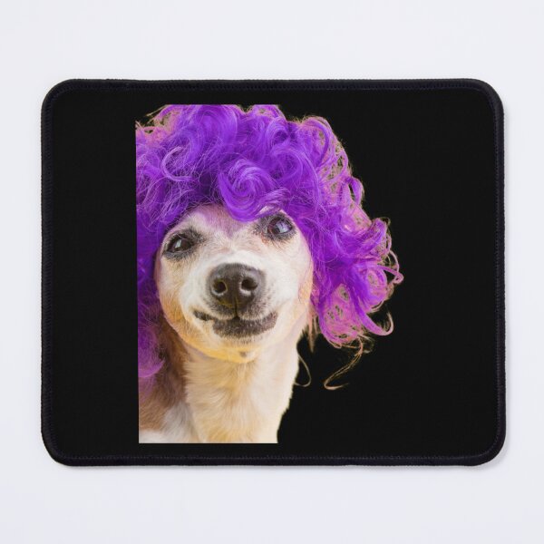 Item preview, dog with wig   designed and sold by HabitationBohe.