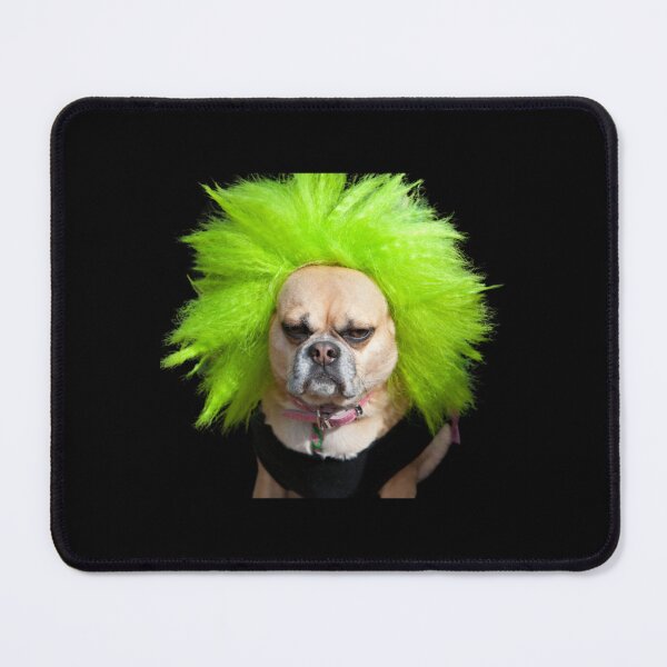 Item preview, dog with wig  designed and sold by HabitationBohe.