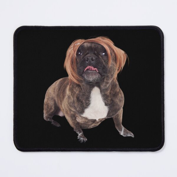 Item preview, dog with wig  designed and sold by HabitationBohe.