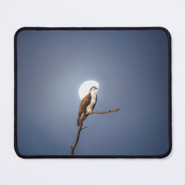Item preview, Moonlight Predator designed and sold by Jack DeMaio.