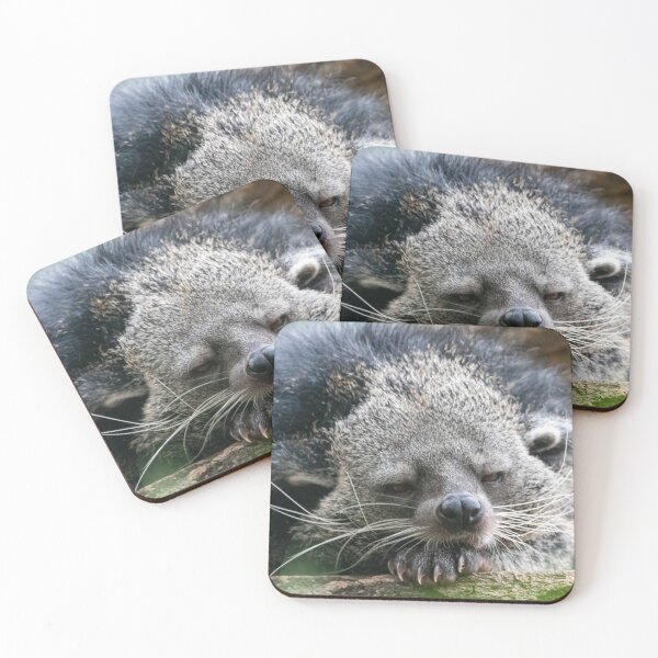 Item preview, Hank the Binturong at the Smithsonian's National Zoo designed and sold by Zoo and Nature Photography by Karie.