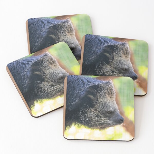 Item preview, Lola the Binturong at the Smithsonian's National Zoo designed and sold by Zoo and Nature Photography by Karie.
