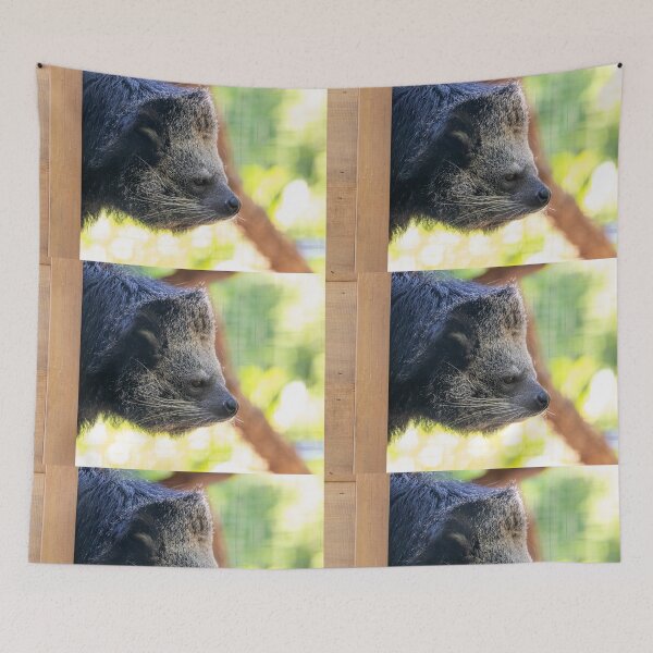 Item preview, Lola the Binturong at the Smithsonian's National Zoo designed and sold by Zoo and Nature Photography by Karie.