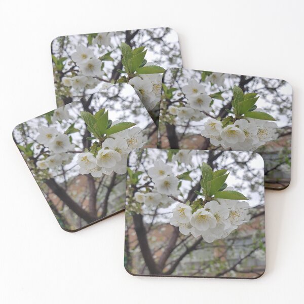 Item preview, White Blossoms on a Branch designed and sold by WhiteSoftPetals.