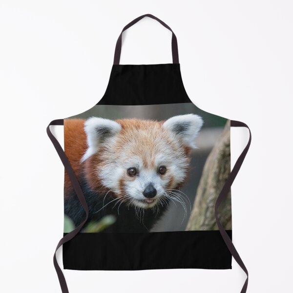Item preview, Red Panda at the Smithsonian's National Zoo designed and sold by Zoo and Nature Photography by Karie.