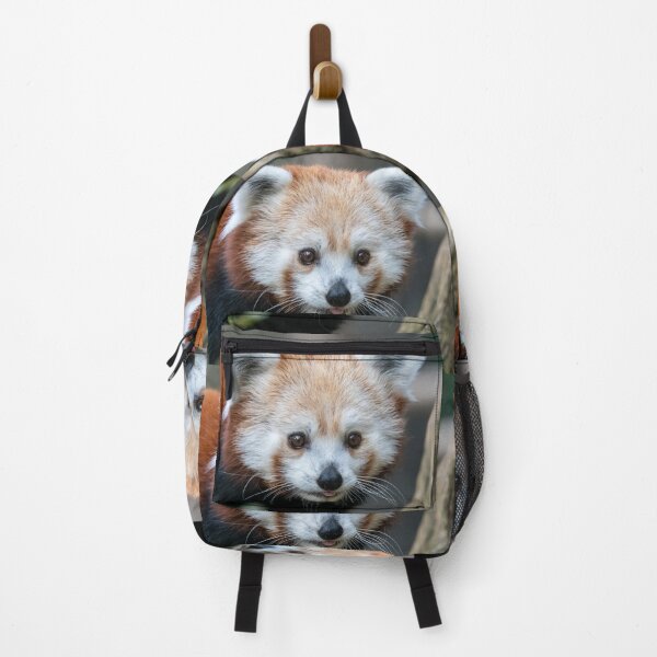 Item preview, Red Panda at the Smithsonian's National Zoo designed and sold by Zoo and Nature Photography by Karie.