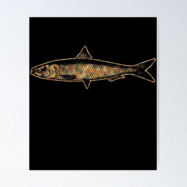 Artikel-Vorschau von Sardine - Sardine geometrisch, designt und verkauft von UnknownArtistt.