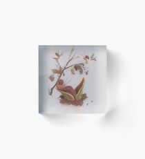 Unnatural Selection Acrylic Block