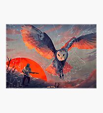 Owl Hunt Photographic Print