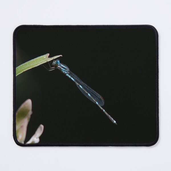 Item preview, Damselfly on grass designed and sold by notjustamwac.