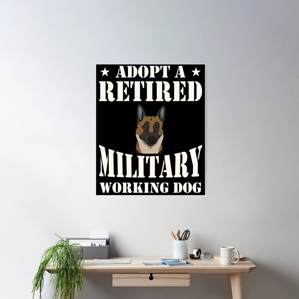 Adopt a Retired Military Dog: Unleash Loyalty & Love