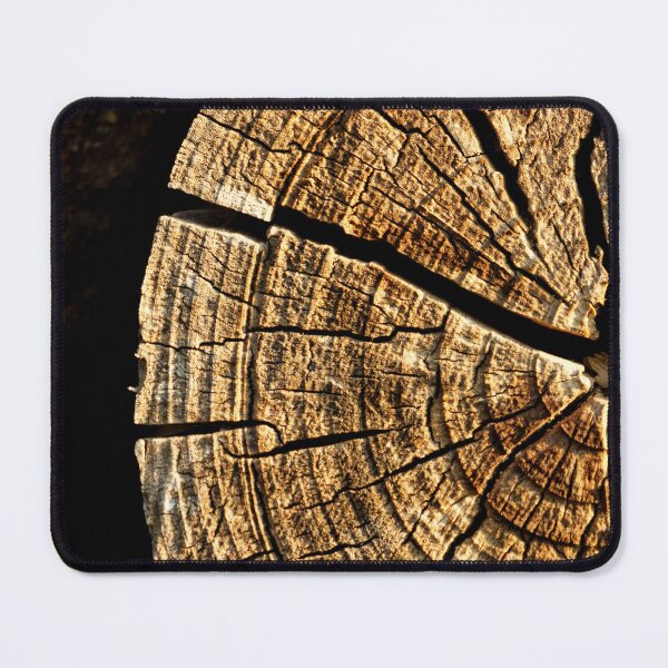 Item preview, Top cut of tree trunk texture designed and sold by Michaelerch.