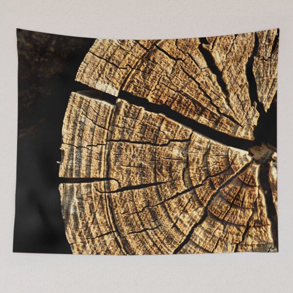 Item preview, Top cut of tree trunk texture designed and sold by Michaelerch.