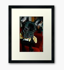 Boris Framed Print