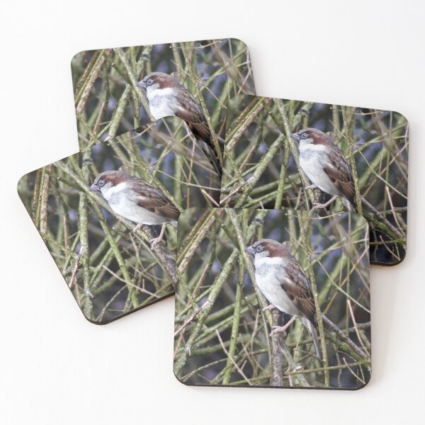 Item preview, house sparrow designed and sold by KathleenDawson.